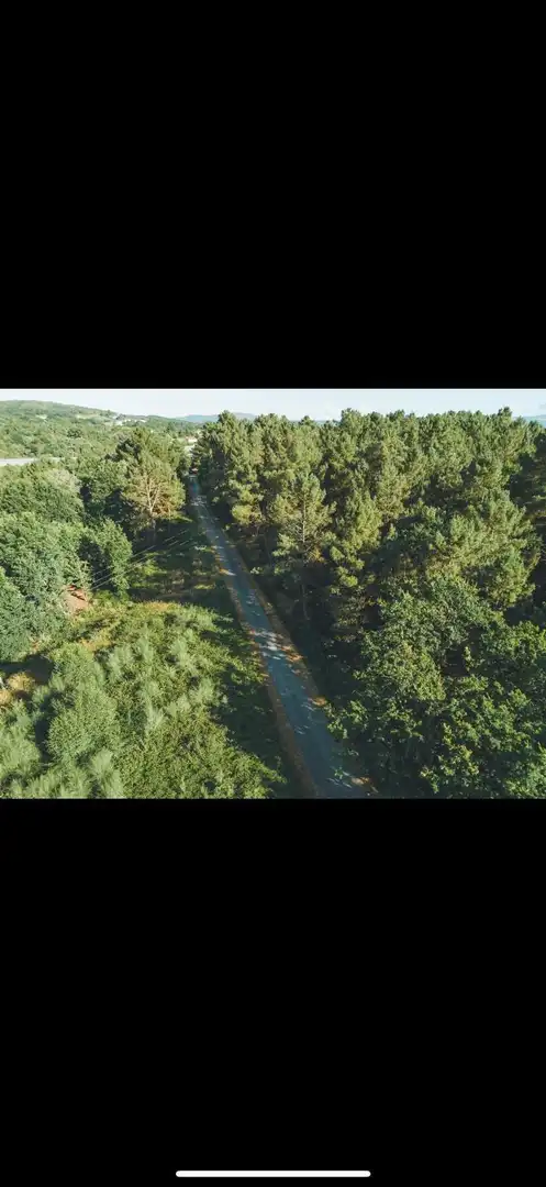 Vista exterior de Casa o xalet en venda en A Merca   amb Jardí privat, Terrassa i Moblat