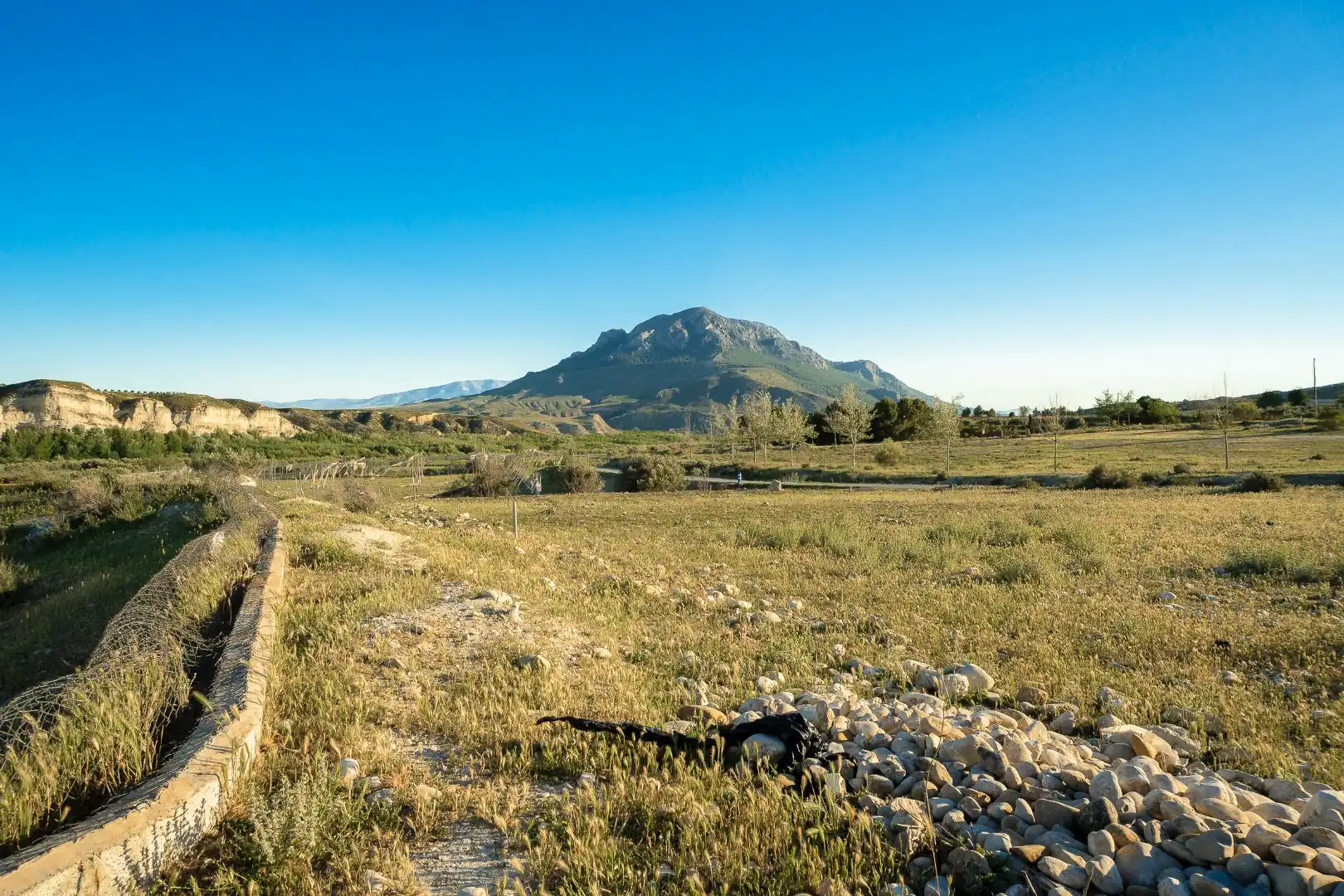 Terreno en venta en Cortes de Baza