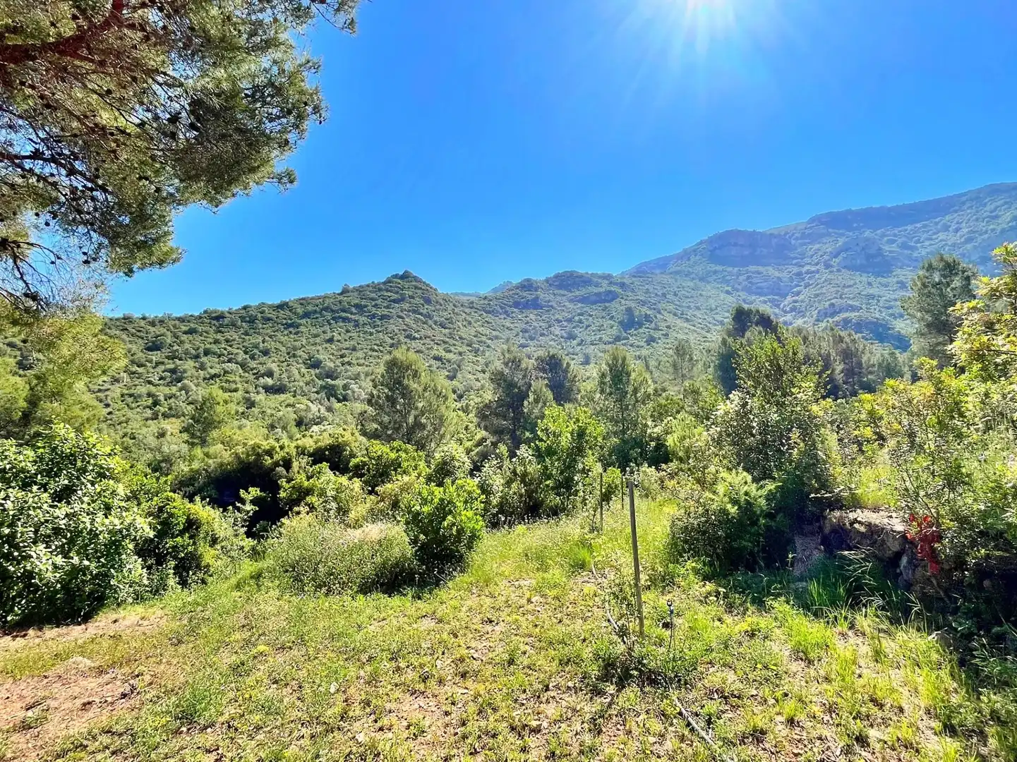 Villa in vendita a Freginals, imagen 45