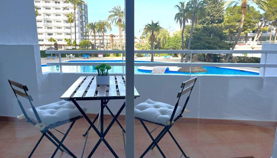 Photo 1 of Study for sale in Port d'Alcúdia - Platja d'Alcúdia, Illes Balears