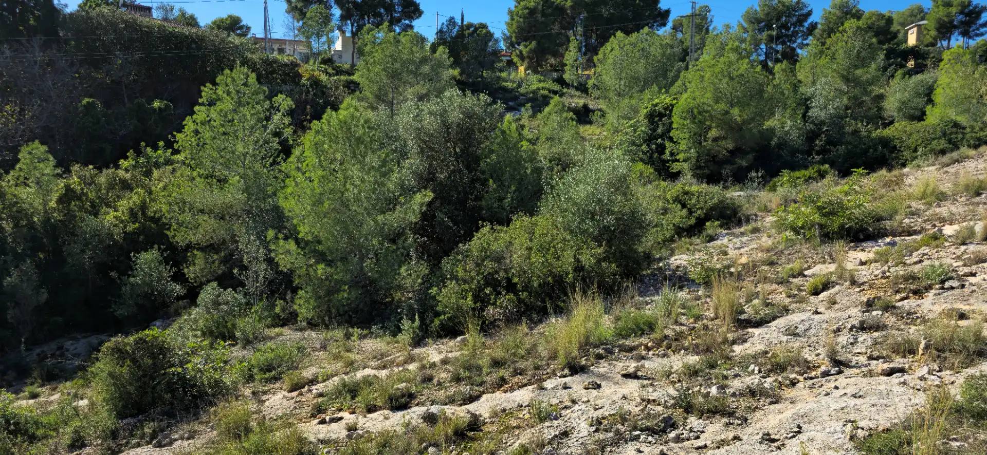 Wohnbaugrundstück zum Verkauf in Calle C/2 Lloma Molina 31, imagen 35