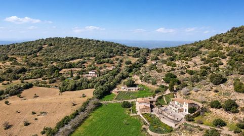Exclusiva finca mallorquina del siglo XIX Son Mesquida Vell, Manacor...Precio de venta 2 800 000 ...En medio del paisaje virgen de, imatge 2
