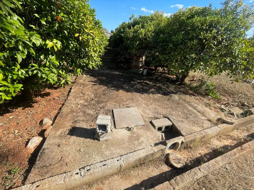 Terrain rustique à vendre à Partida Bases 254, imagen 17
