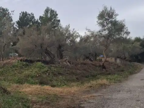 Terreno rustico in vendita a Calle contistucion 45, imagen 4