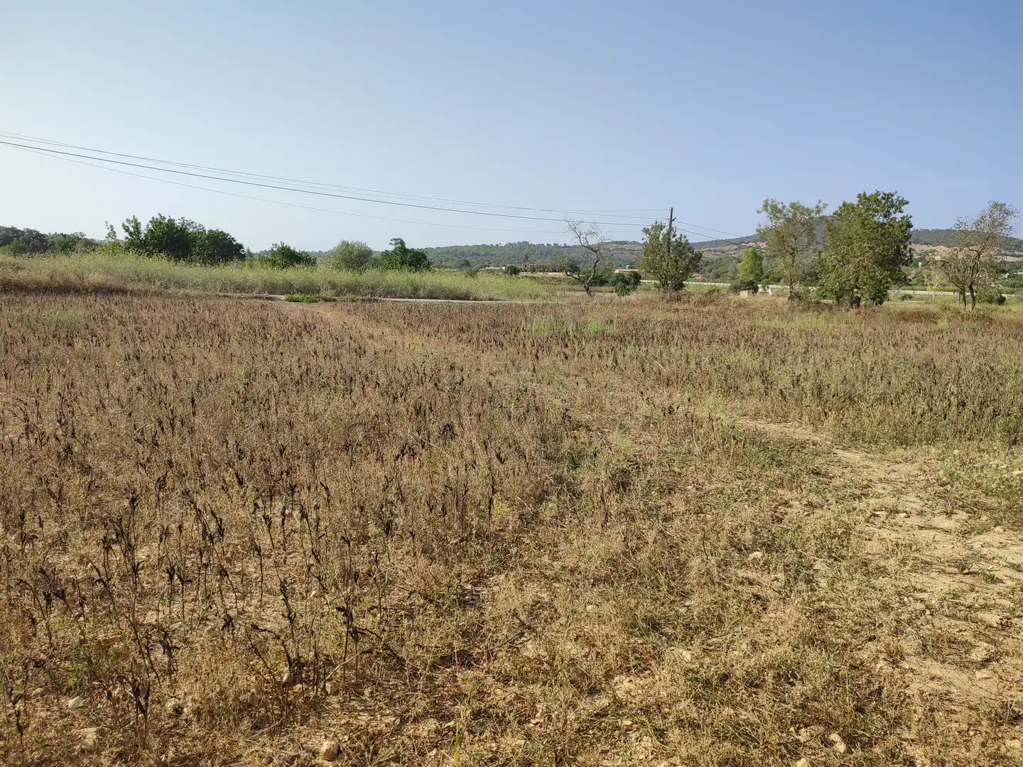 Terrain rustique à vendre à Sant Joan, imagen 12