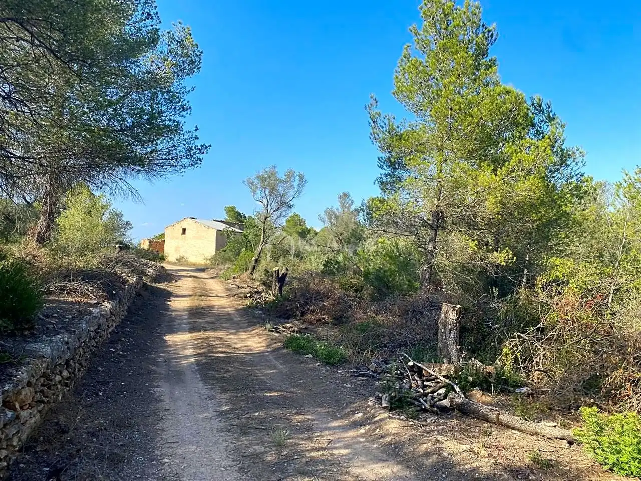 Terreno en venta en Planes, Rasquera