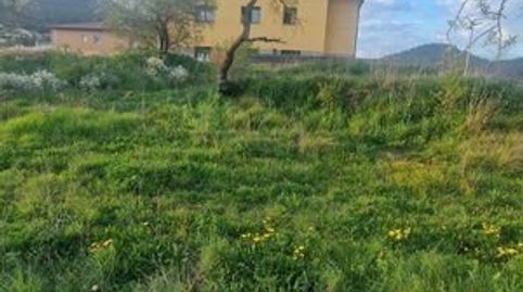 TERRENO PARA 2 CASAS PAREADAS, immagine 3
