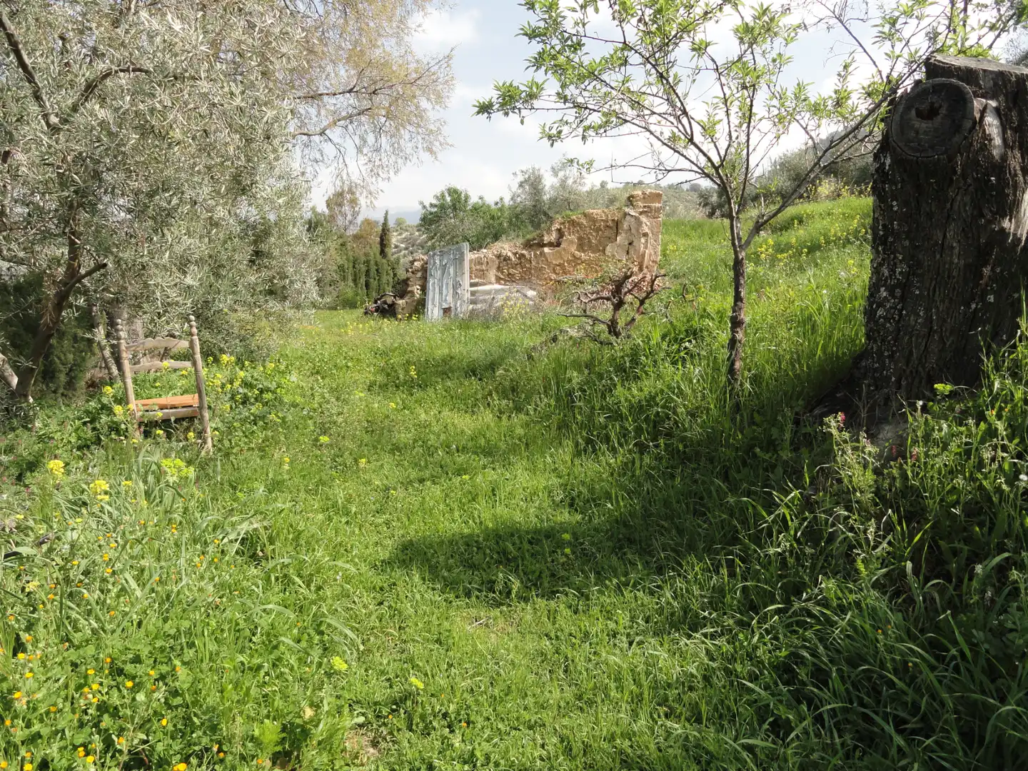 Land for sale in La Iruela