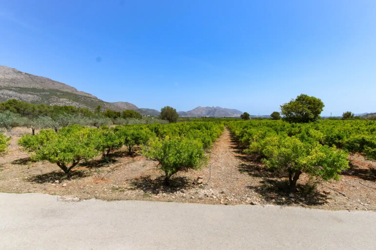 Residential land for sale in Orba, imagen 5