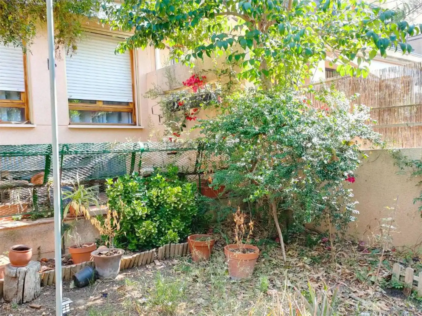 Terraced house for sale in Partida S Lazaro 20, imagen 2