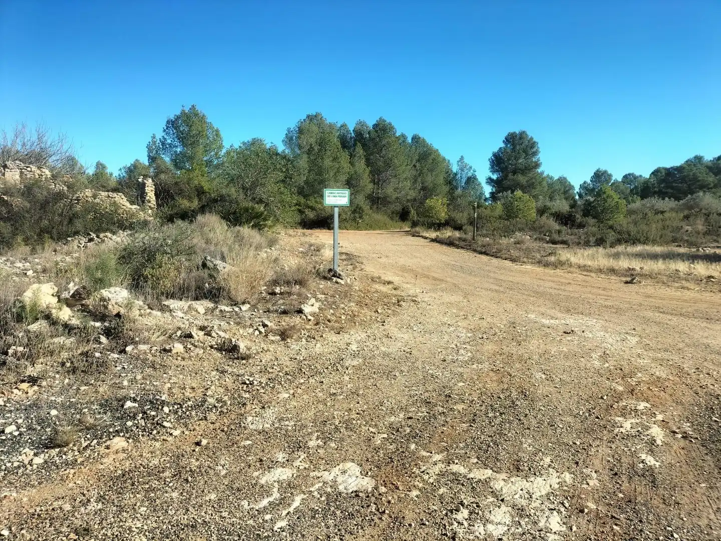 Terreno rustico in vendita a Polígono 7 Parcela 82 LOMA FERRER. NAVARRES (VALE 7, imagen 14