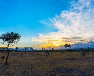 Country house for sale in Tabernas