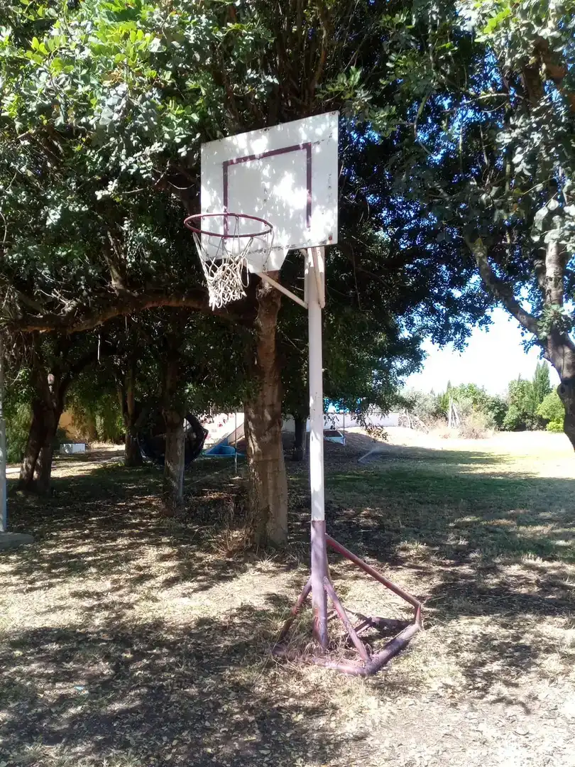 Jardín de Finca rústica en venta en Utrera con Aire acondicionado, Piscina y Amueblado