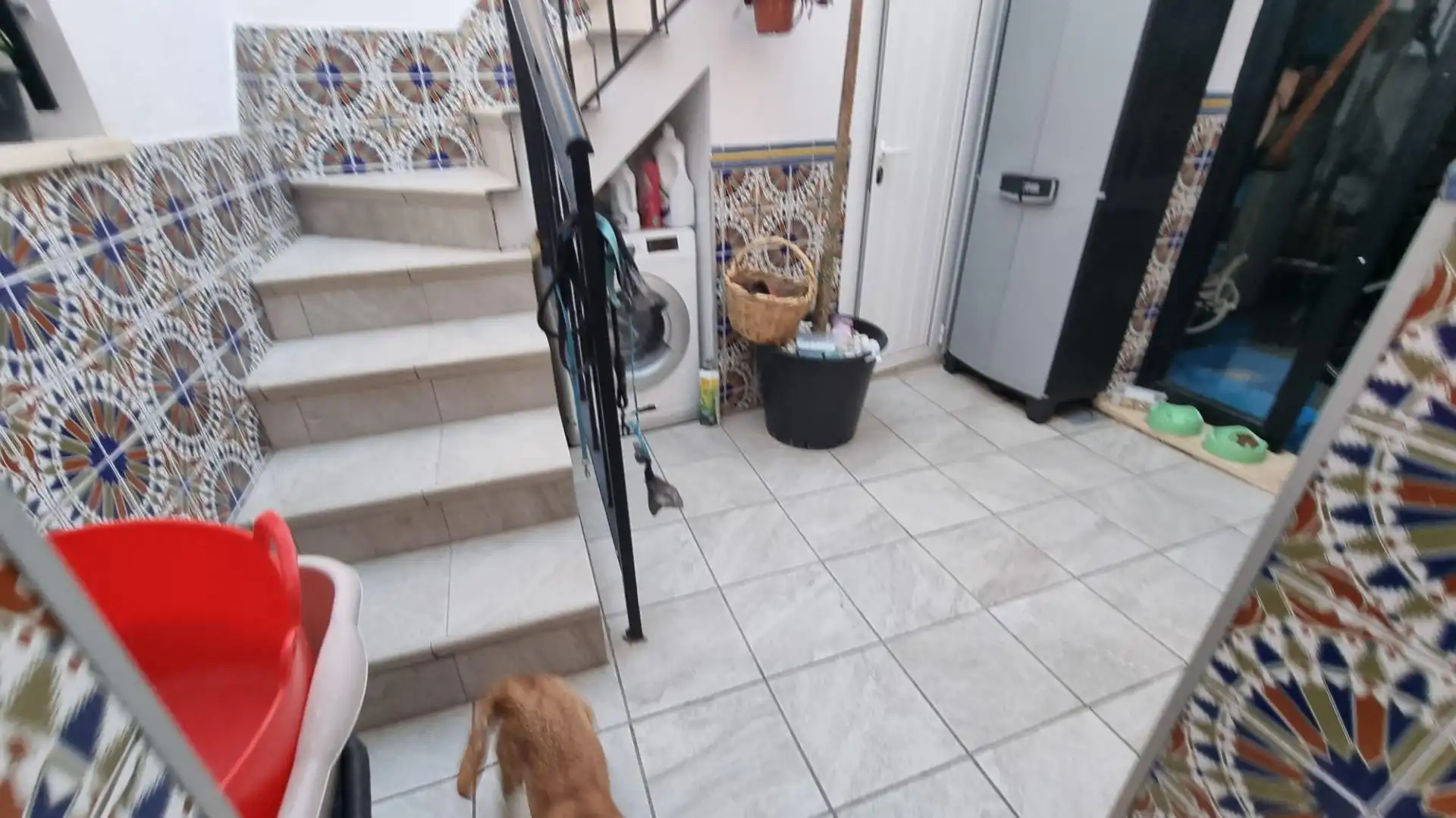 Maison avec jardin à vendre à Roquetas de Mar ciudad, imagen 10