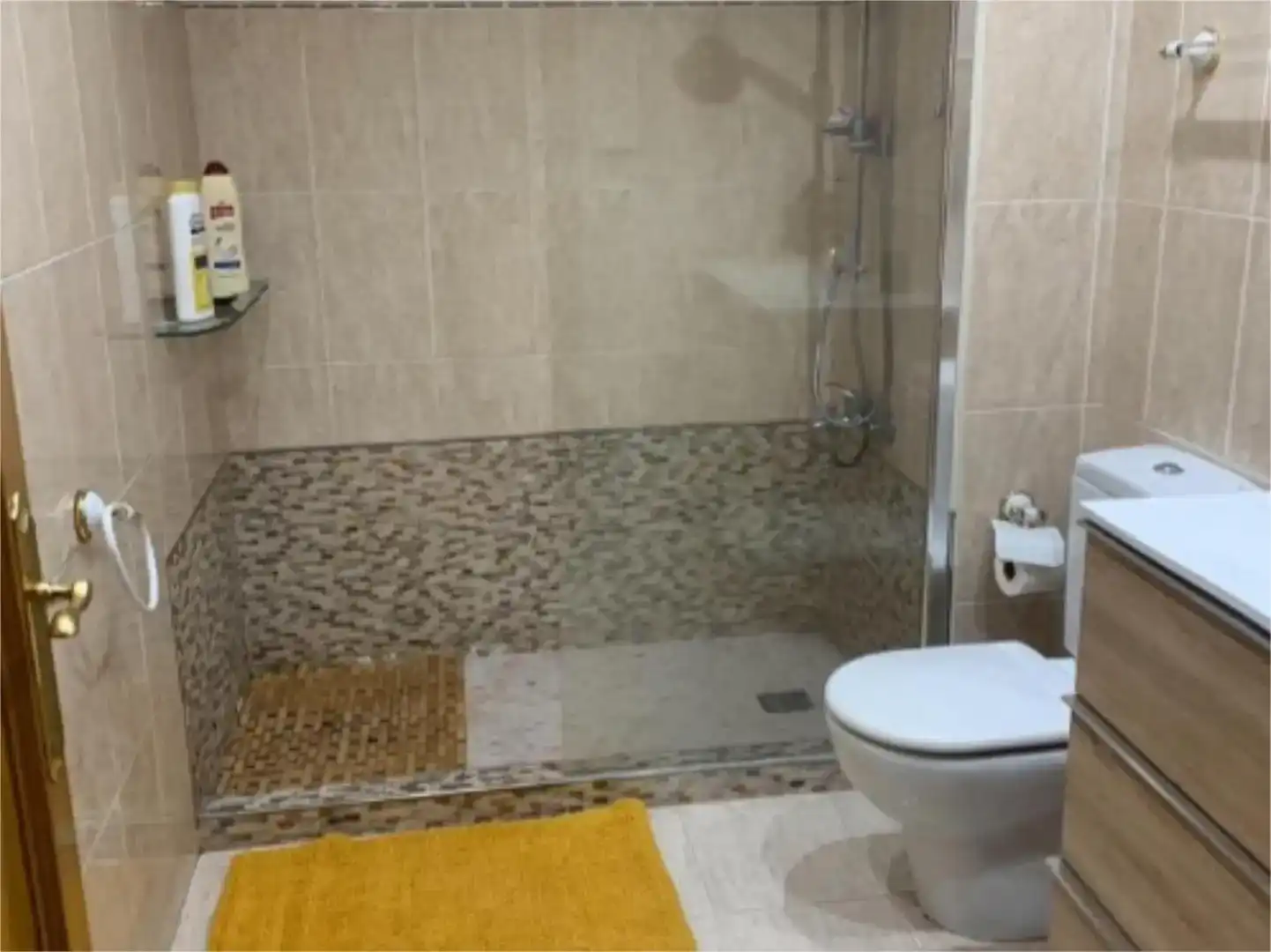 Bany de Pis en venda en Azkoitia