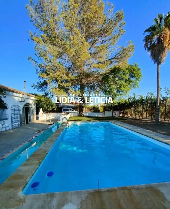 Swimming pool of Houses for sale in El Viso del Alcor  with Private garden, Swimming Pool and Furnished