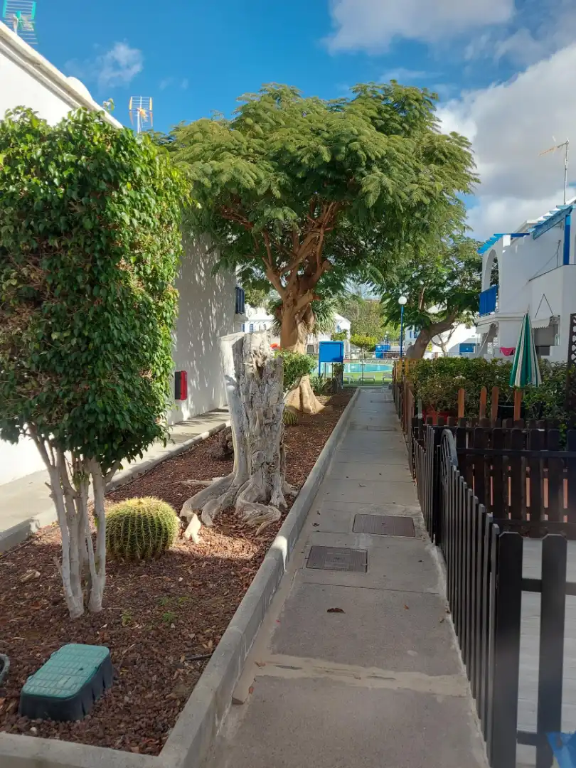 Bungalow avec terrasse à vendre à Avenida Touroperador Neckermann 3, imagen 28