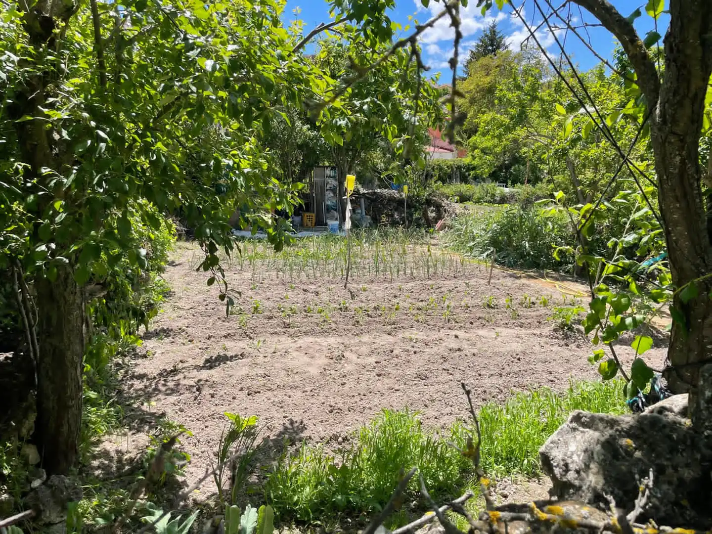 Finca rústica en venda en Espinosa de Cerrato amb Jardí privat
