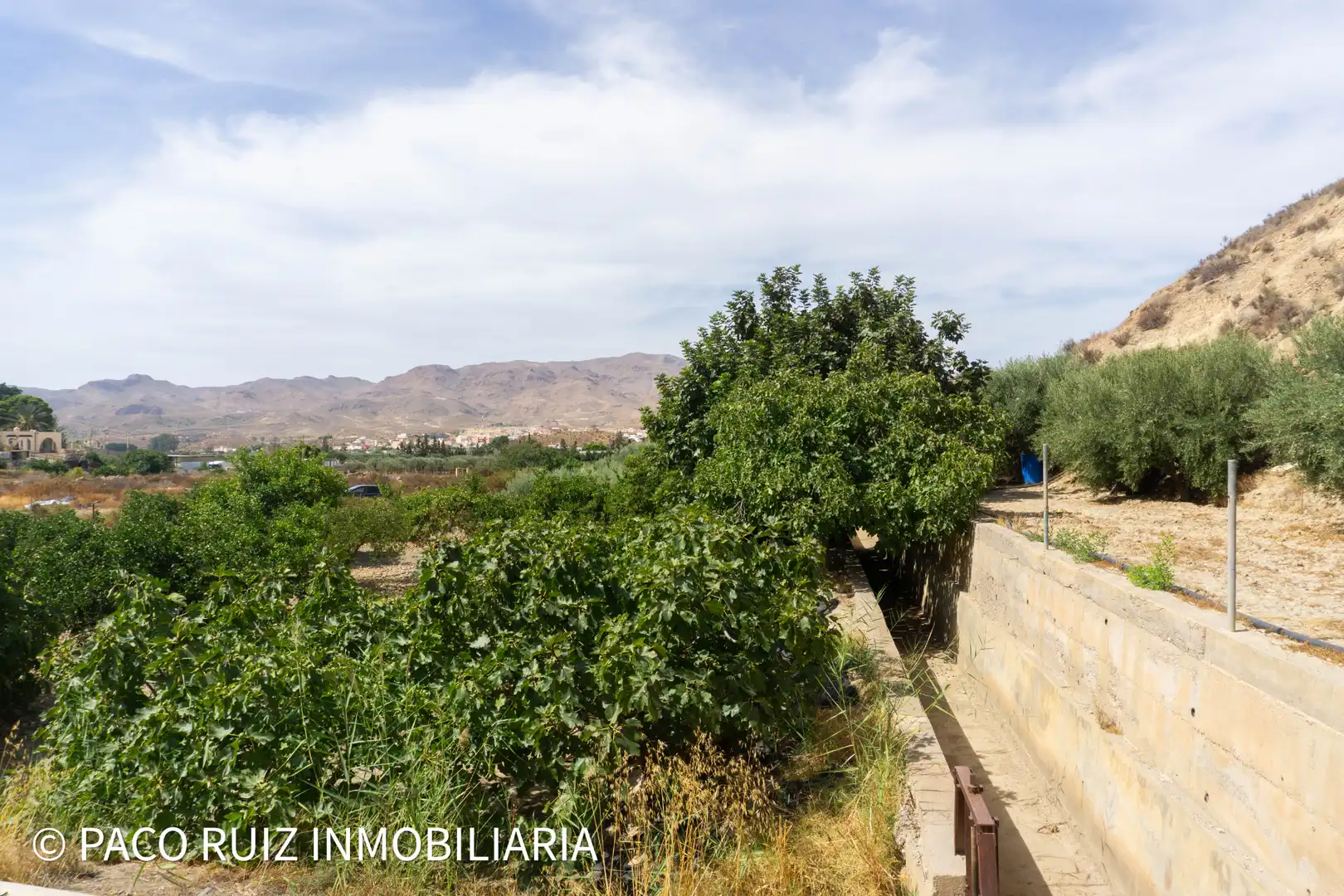 Terreno rustico in vendita a Rioja, imagen 6