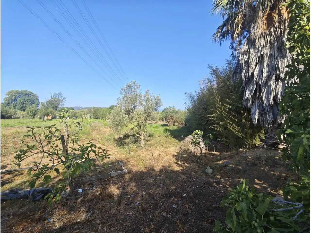 Grundstücke zum Verkauf in Blanes