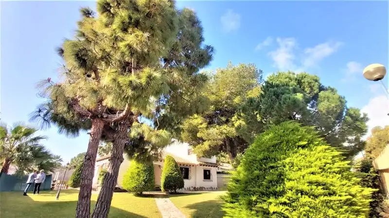 Chalet con piscina en venta en Orihuela Costa