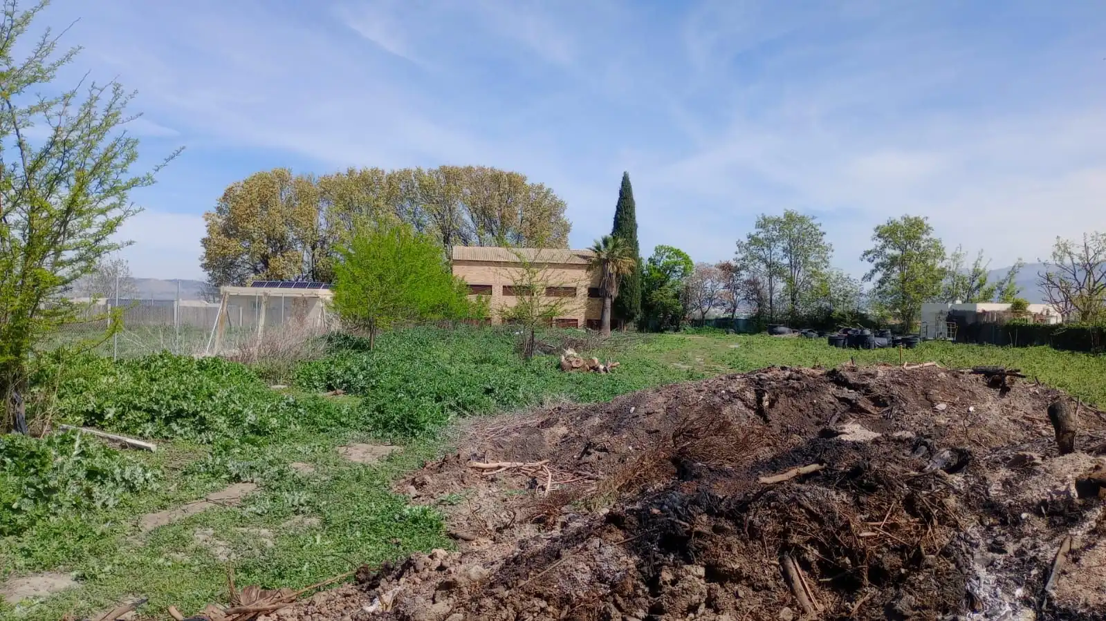 Terrenos y solares en venta en Casco Histórico, imagen 6