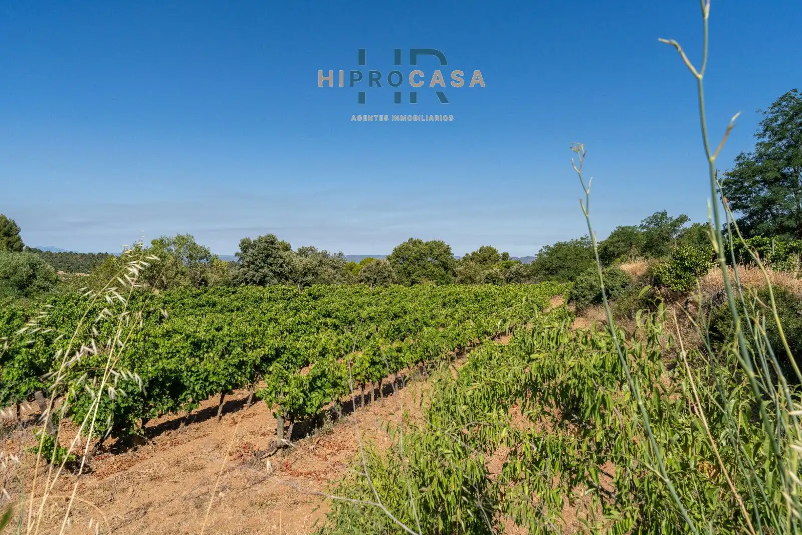 Residencial en venda en Falset