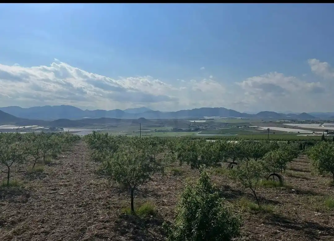 Terreni e lotti in vendita a Pedanías Sur, imagen 18