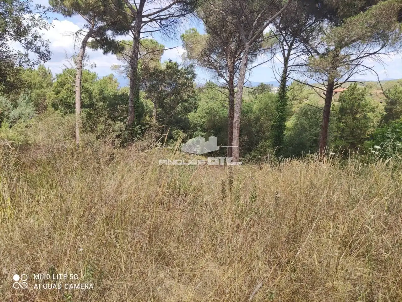 Terreno residencial en venta en Calle Nard, imagen 2