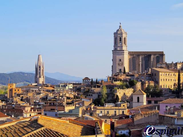 Garaje en Alquiler en Emili grahit, 69-71 en Eixample Nord