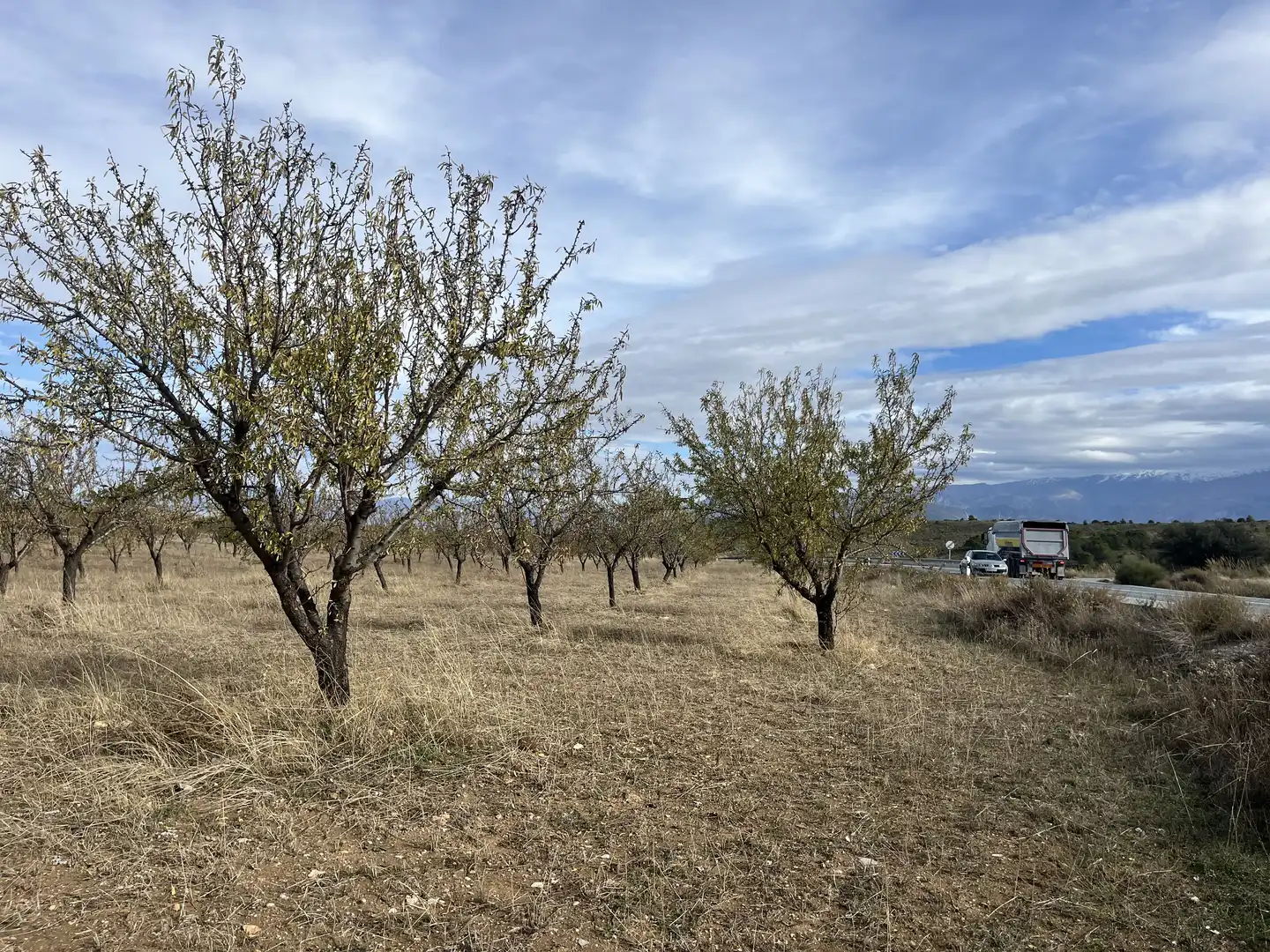 Rustikales Grundstück zum Verkauf in Avenida de Andalucía, imagen 15