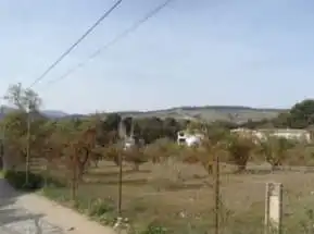 Rural land for sale in CR CARRETERA DE GRANADA Nº S/N, imagen 6