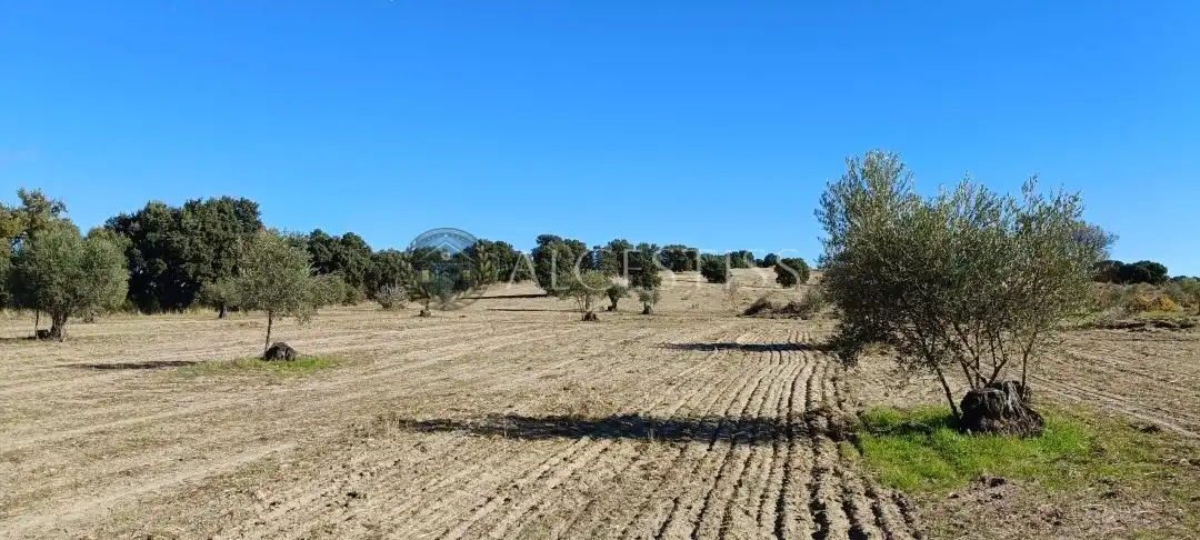 Terreno rústico en venta en Villamanta, imagen 2