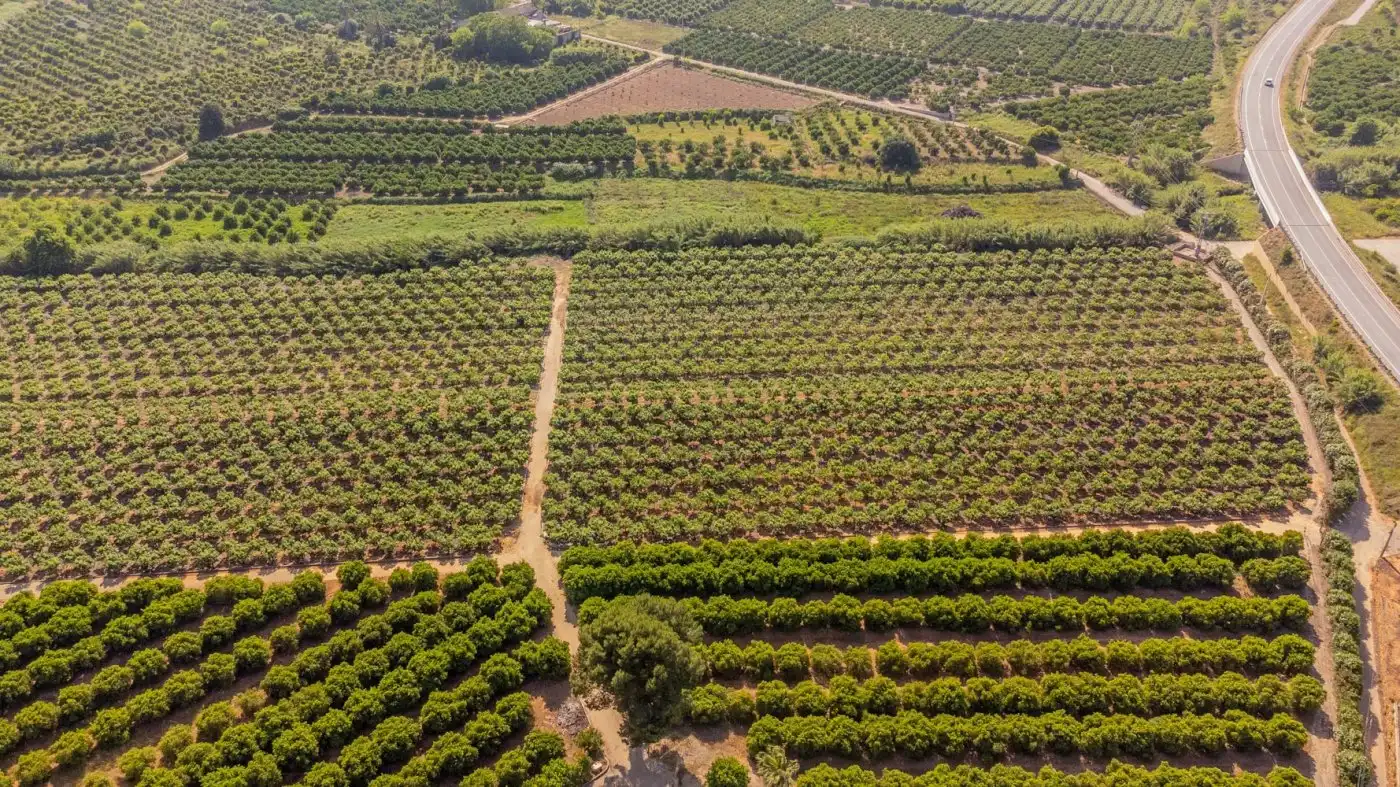 Finca rústica en venda en L'Énova amb Terrassa, Traster i Alarma