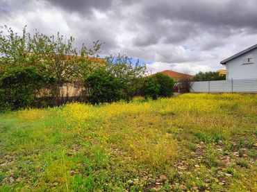 Terreni e lotti in vendita a Valdepeñas