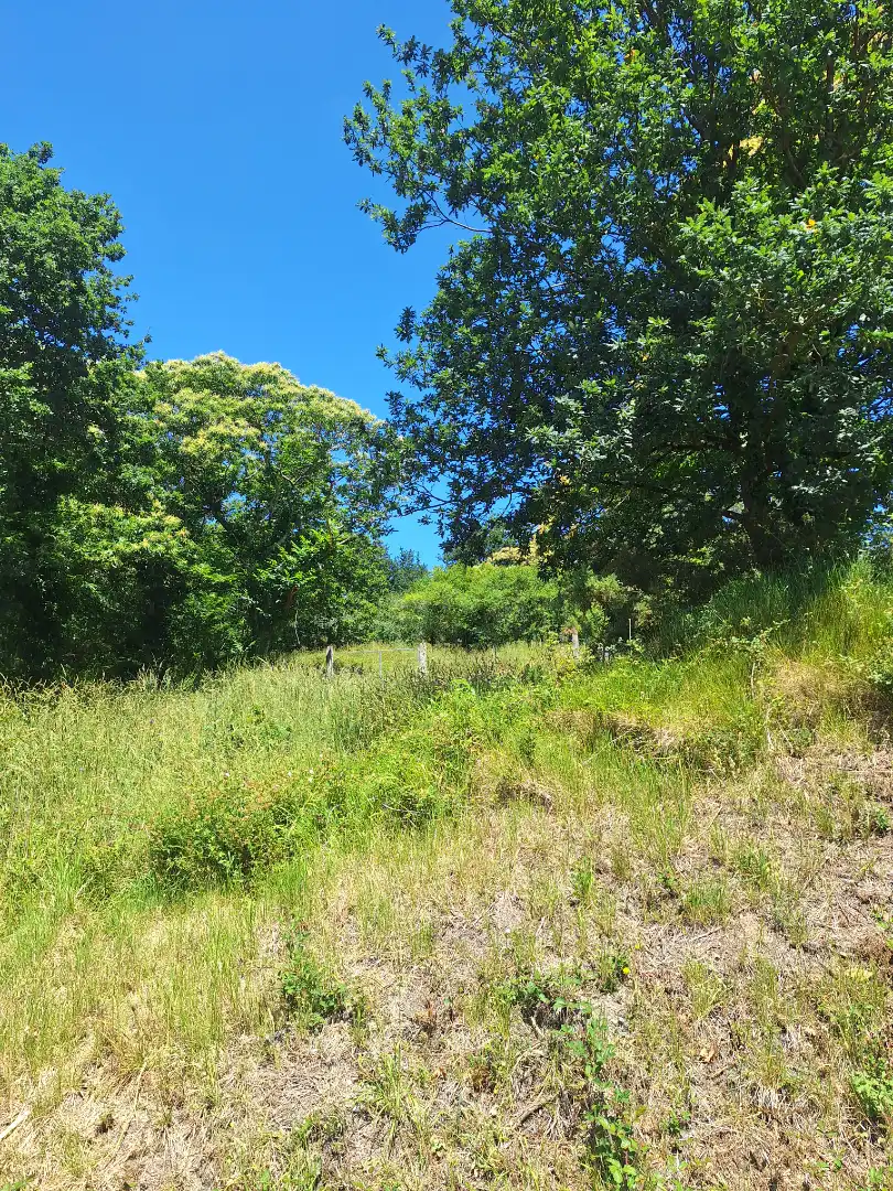 Grundstücke zur Miete in Culleredo