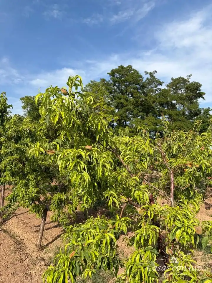 Finca rústica en venda en Zaragoza amb Jardí privat i Piscina