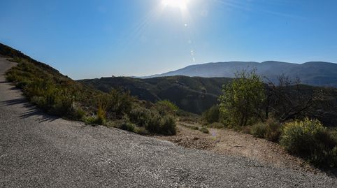 VENTA DE BONITA FINCA DE OLIVOS EN LANJARÓN GRANADA, immagine 2