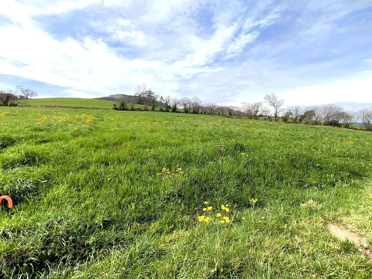 Terreny rústic en venda a Santa María de Cayón, imagen 3