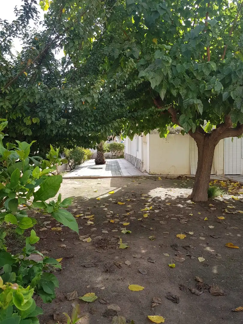 Casa amb jardí en venda a LUIS VIDAL, imagen 19