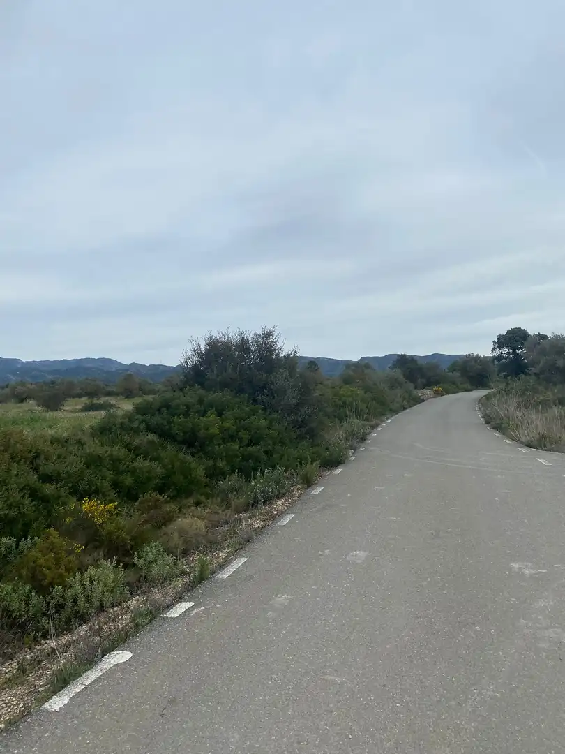Lands and plots for sale in Ginestar, imagen 11