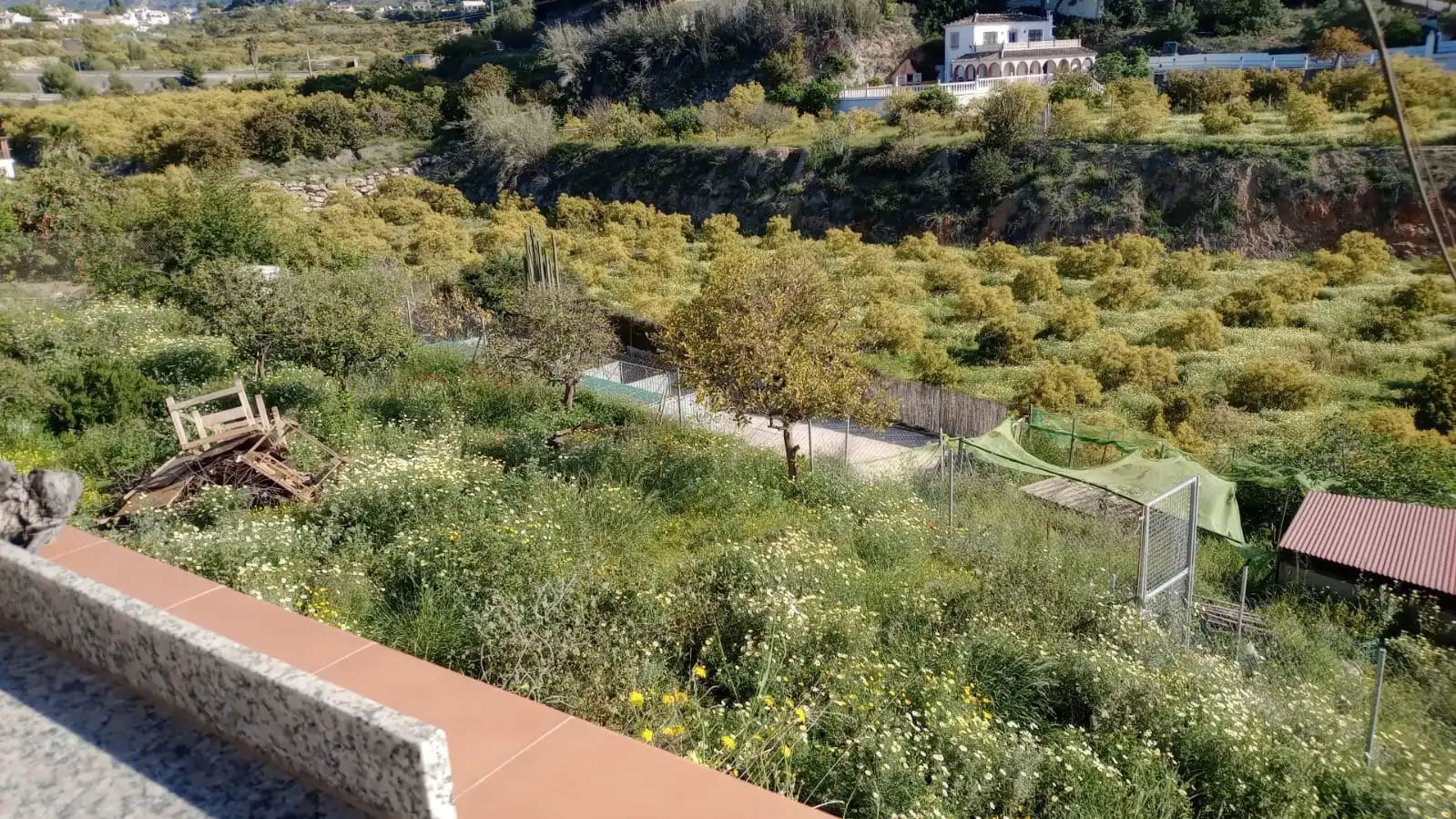 Casa rustica con terrazza in vendita a Frigiliana, imagen 26