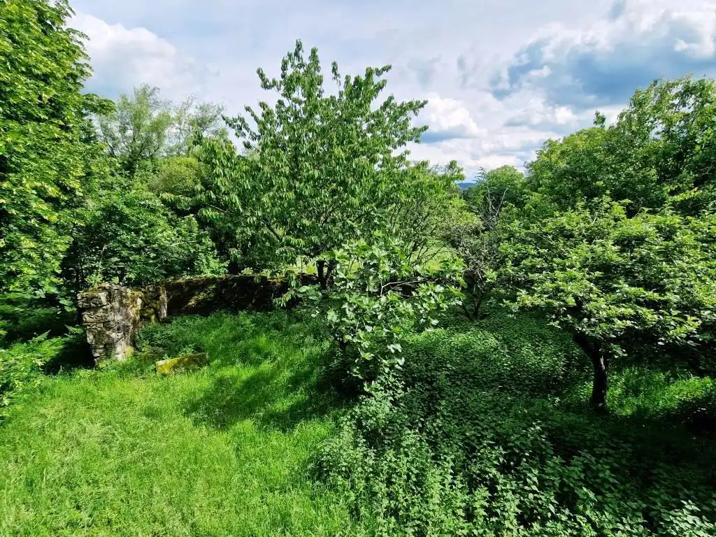 Finca rústica en venda en Piñor amb Jardí privat i Balcó