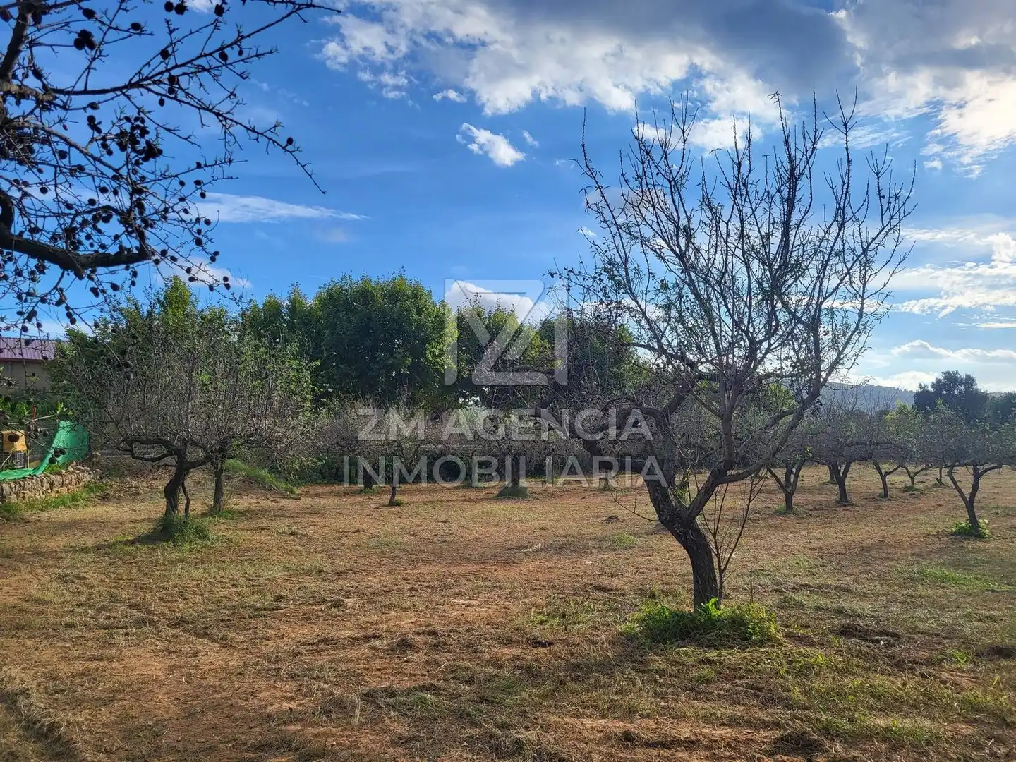 Terreno rustico in vendita a Traiguera, imagen 8