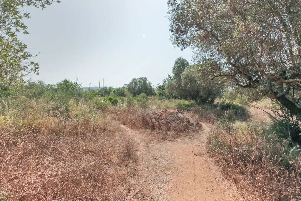 Rural land for sale in C/ Roquetes, imagen 15