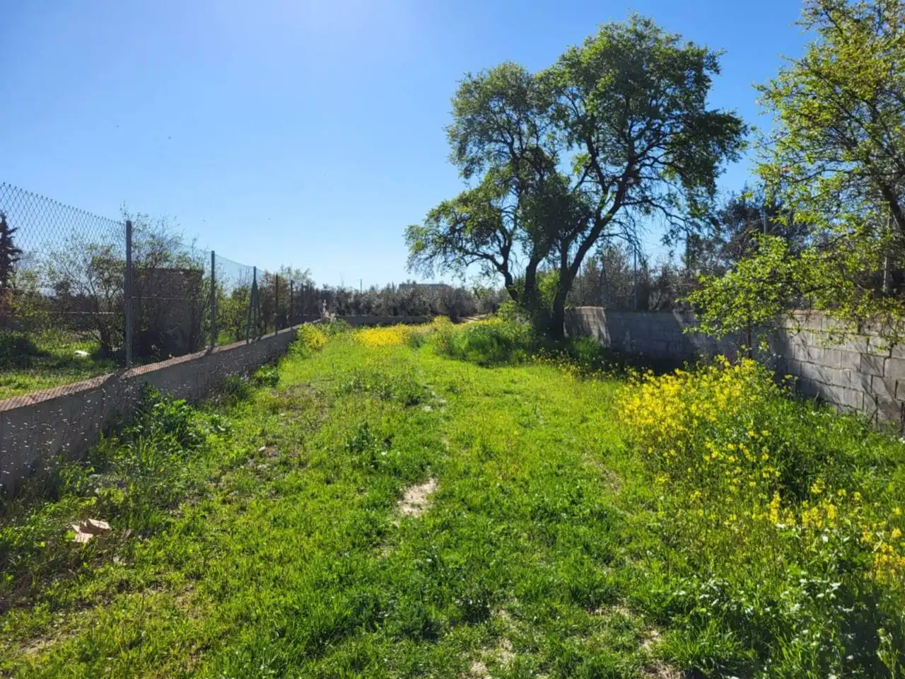 Casa o xalet en venda en Baza amb Terrassa