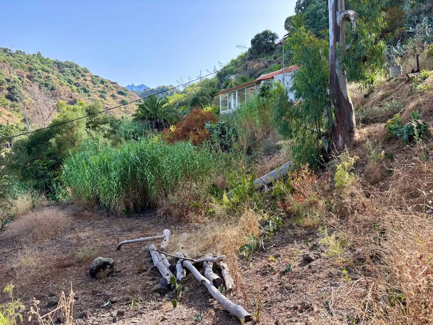 Finca rústica en venda en Santa Brígida amb Rentadora
