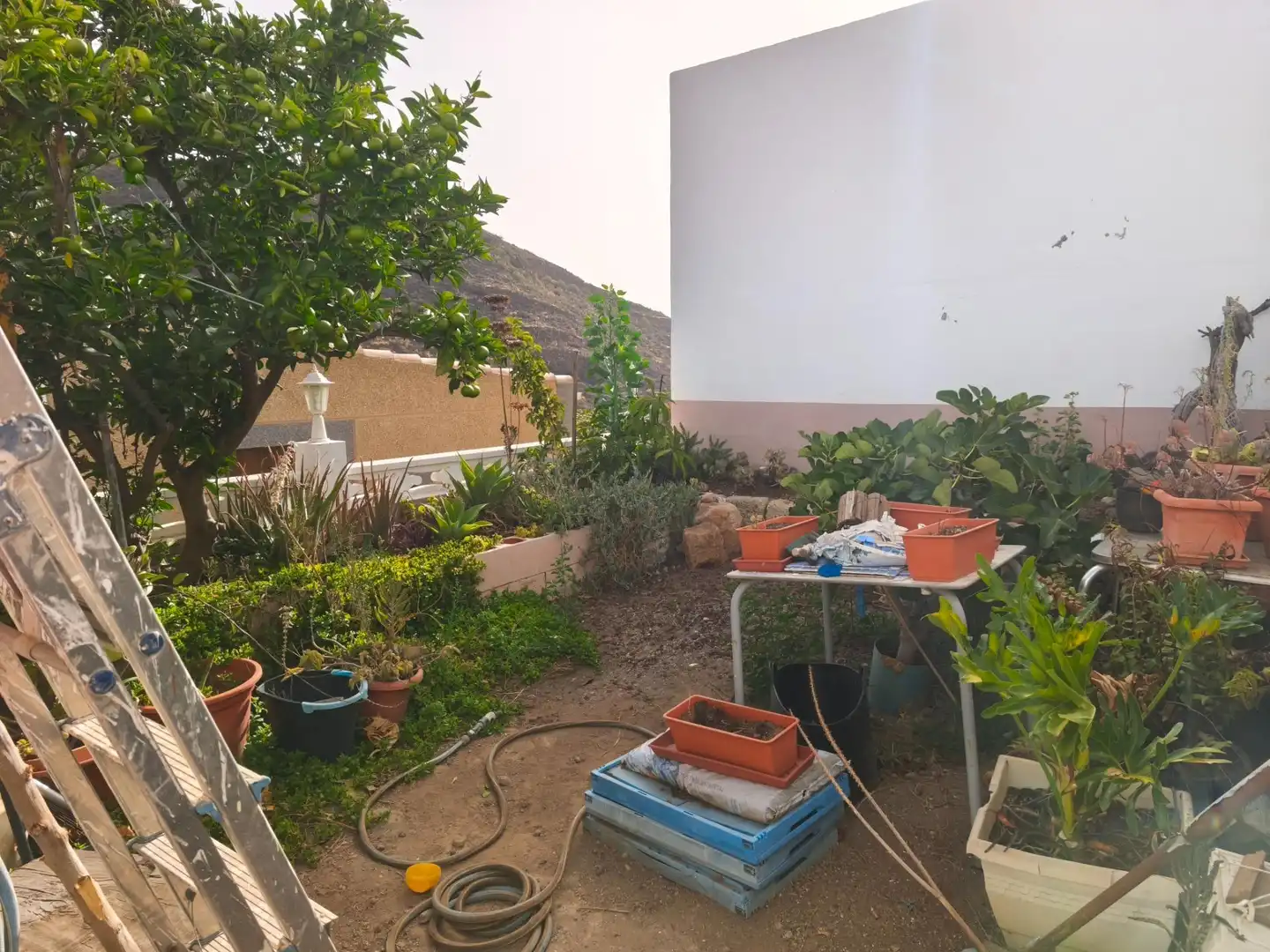 Jardí de Casa o xalet en venda en Candelaria amb Aire condicionat, Jardí privat i Terrassa