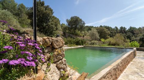 Foto 2 de Finca rústica en venta en Esporles, Illes Balears