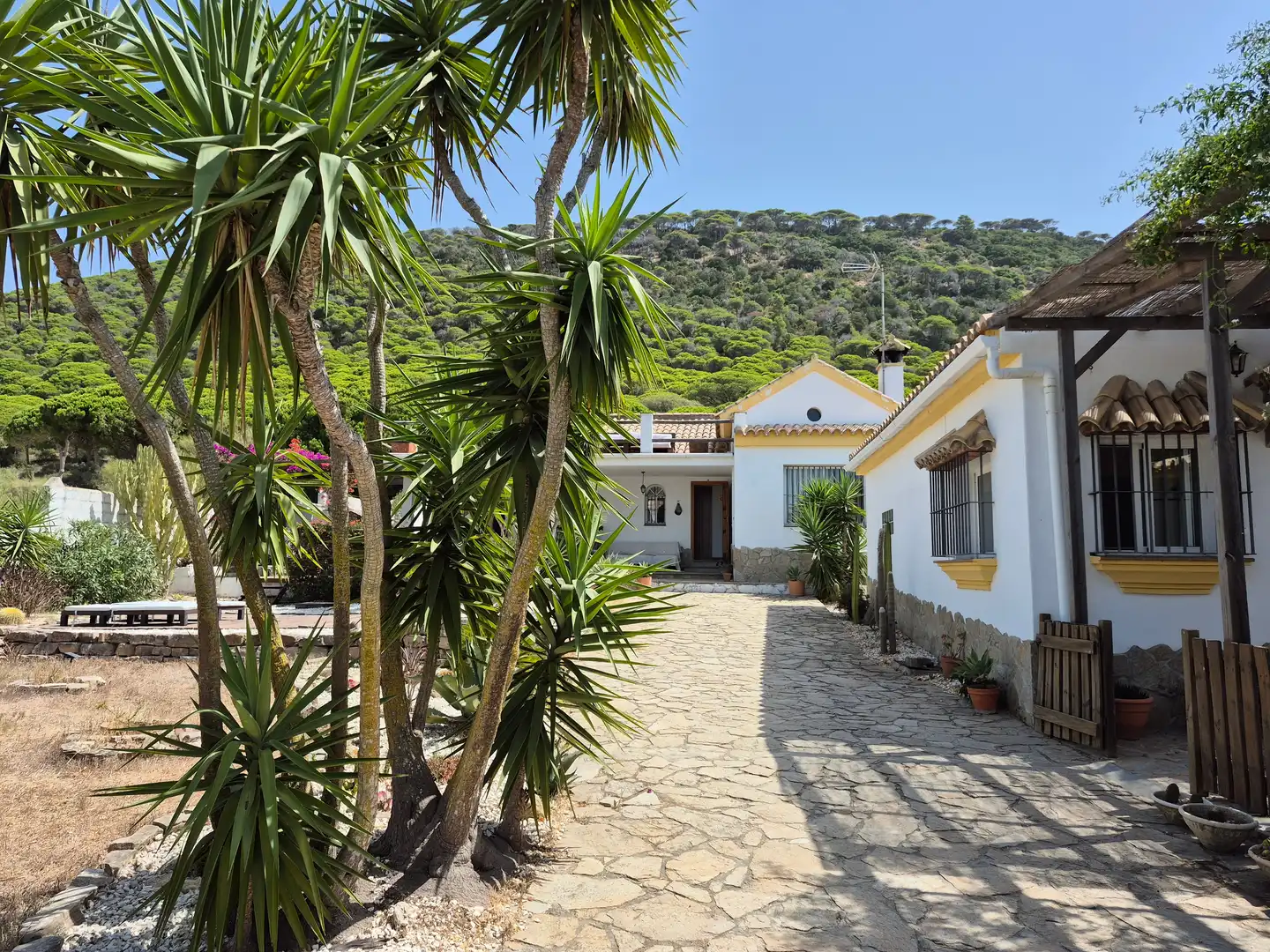 Exterior view of Country homes for sale in Barbate  with Terrace